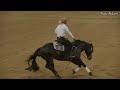 Matt mills reining horses at the cactus reining classic run for a million qualifier