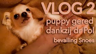 VLOG 2 bevalling puppies& puppy gered LANG LEVE DR POL!!