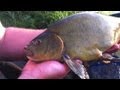 Fishing The Method Feeder For Carp & Tench - Part Two