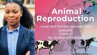 Grade 12 | Male and Female reproductive systems | Animal Reproduction | Revision Material available screenshot 5