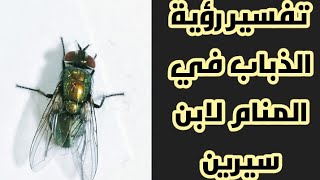 تفسير رؤية الذباب في المنام لابن سيرين