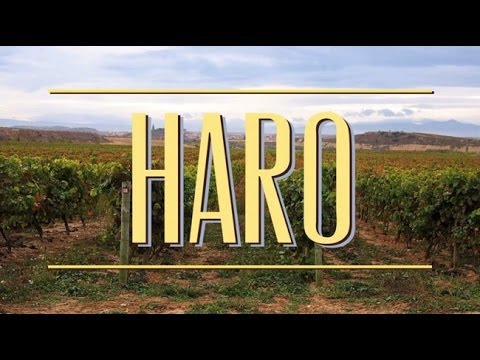 Where to Drink Wine in Haro, La Rioja Spain