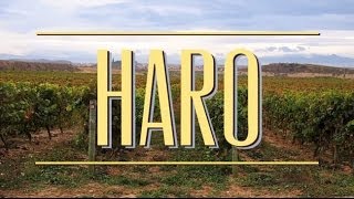Where to Drink Wine in Haro, La Rioja Spain Resimi