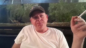 Why I want Digibyte in your wallet #3 Forward Thinking #Digibyte #Cryptocurrency