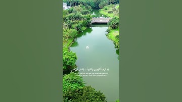 تلاوة بصوت شريف مصطفى