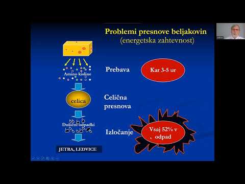 Video: Kako hitro leti neobremenjena lastovka?