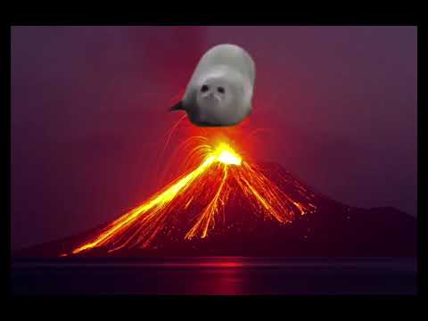 Bouncing seals life