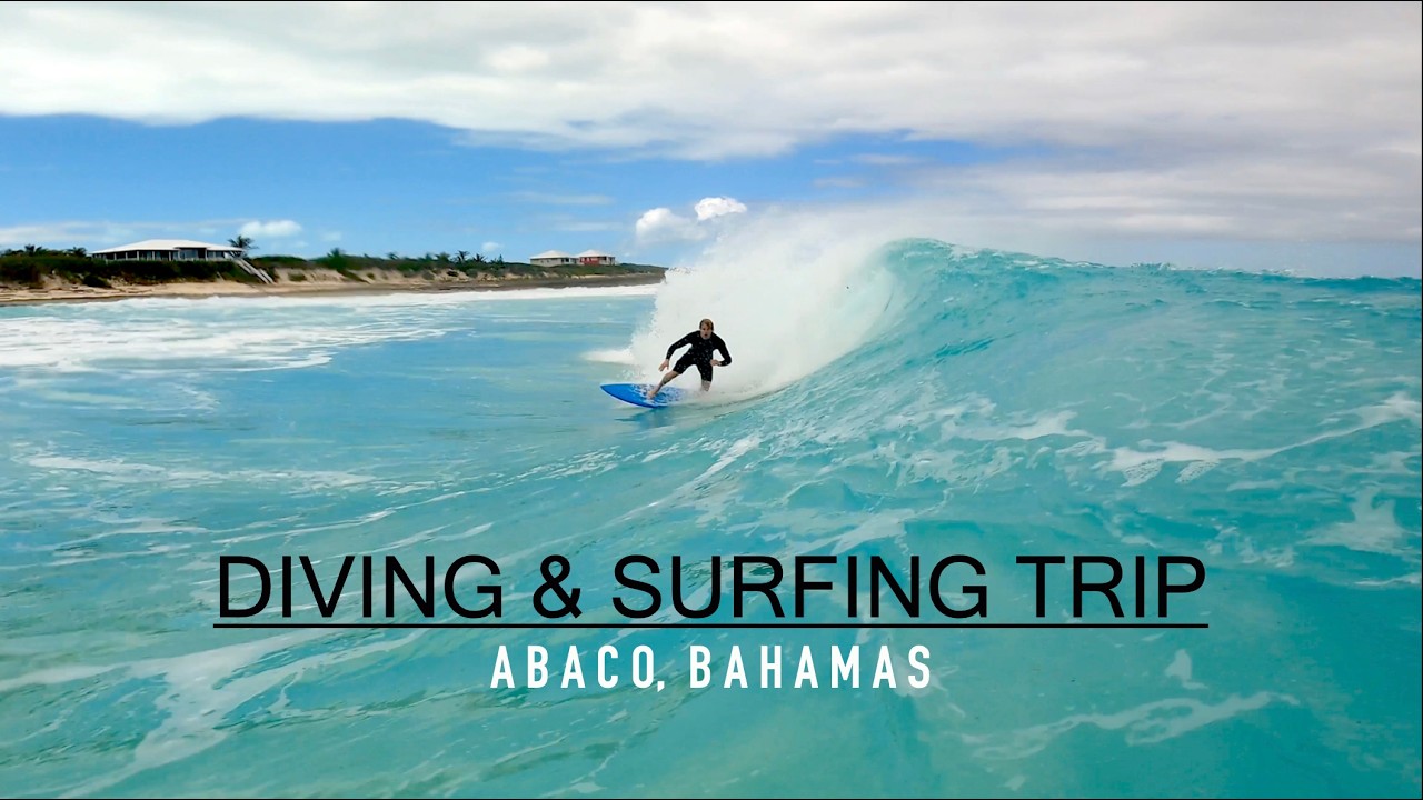 Diving and Surfing in ABACO, BAHAMAS - Conch, Lobster, Lionfish, & Fish Print