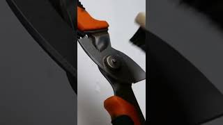 Garden Shears Cleaning | ASMR sounds #beforeafter #resoration #asmr #satisfyingcleaning