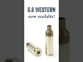 6.8 Western Brass Is HERE 🔥 Premium Cases Now Available