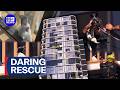 Risky rescue operation to save dog stuck on the edge of a building | 9 News Australia
