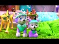 Paw Patrol Pups are Stuck in Quick Sand