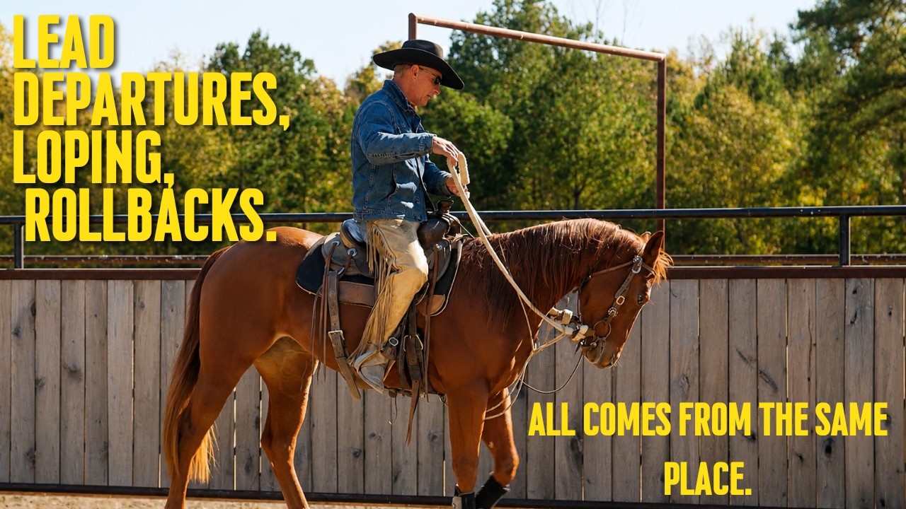 How to use fence to Collect your horse