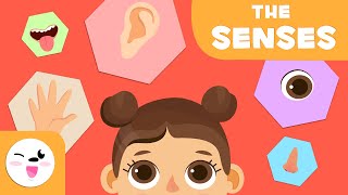 The Five Senses for Kids - Preschool Education