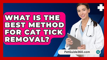 What Is The Best Method For Cat Tick Removal? - PetGuide360.com