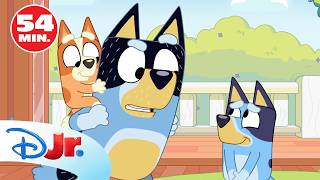 BLUEY: ¡La mejor recopilación de cortos de Bluey y Bingo! 🐶❤️ | @DisneyJuniorES