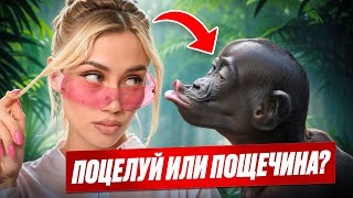 видео: МАШ МИЛАШ поцеловала обезьяна! НАПАЛ КРОКОДИЛ??? картинка: МАШ МИЛАШ поцеловала обезьяна! НАПАЛ КРОКОДИЛ???