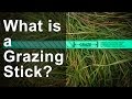 What is a grazing stick?