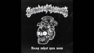 Hounds Of The South - Reap What You Sow 2024 (Full EP)