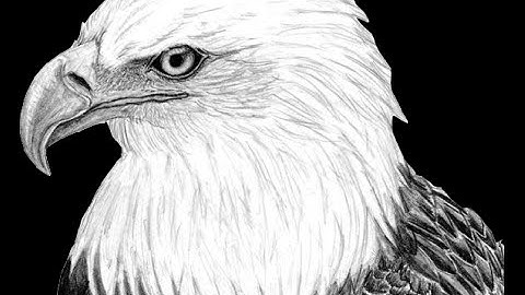 Indcyberjoker Capture The Flag CTF Solution by Bla4ck EyE