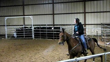 Valley View Ranch horse "Sonofagun" in training 2/18/12 sorting with owner 8 head