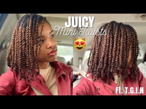 Repeat Mini Twists Natural Hair Protective Style Mini Twist