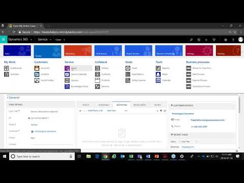 Support Tickets and Cases for Dynamics 365
