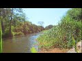 Relax by the riverside with chill out tunes and 639hz solfeggio frequency