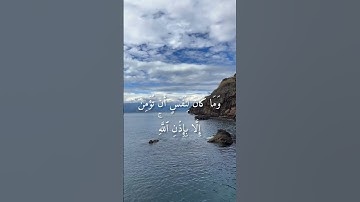 سورة يونس. الآيات (٩٩-١٠٠). القارئ ياسر الدوسري