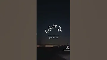 اتاكدت اني مقدرش اعيش غير وانا وياك حالات واتس اغاني عمرو دياب 