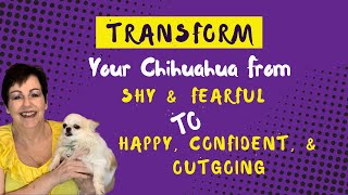 SHY, FEARFUL CHIHUAHUA? Transform Your Chihuahua to a Happy, Confident, and Outgoing Chihuahua