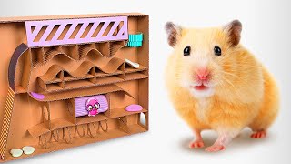 Otra casa nueva, ahora para los hamsters Resimi