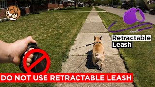 10 Reasons Not to Use a Retractable Leash by Pet Room 161 views 1 year ago 3 minutes, 46 seconds