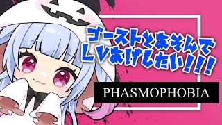 桃帷さくらの配信のサムネイル画像