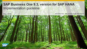 SAP Business One 9.3, version for SAP HANA Implementation Guideline