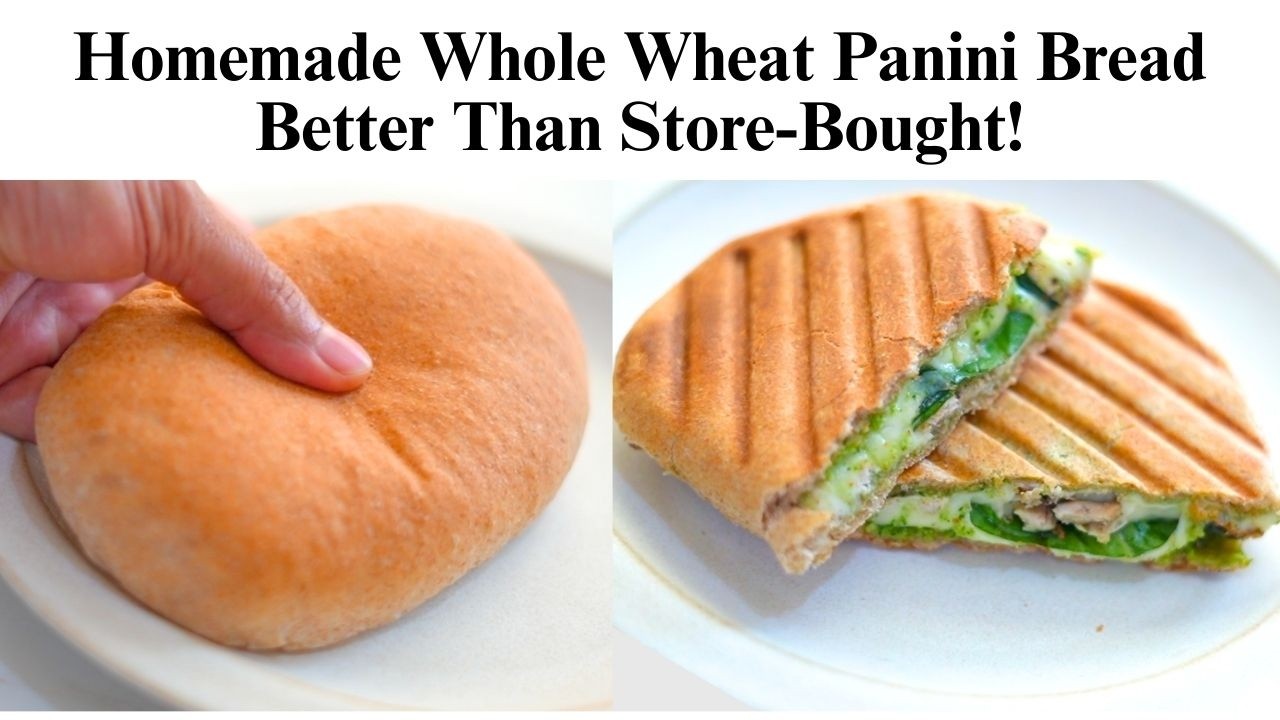 Better than store-bought! Easy Homemade Whole Wheat Panini Bread Recipe