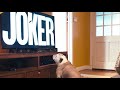 Bulldog Reaction to “JOKER” (2019) Final Trailer