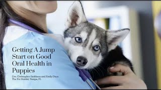 Good Dog Webinar: Getting a Jump Start on Good Oral Health in Puppies