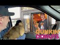 Monkey Visits Dunkin Donuts Drive Thru!