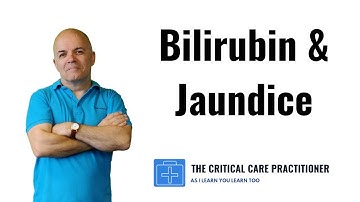 Bilirubin and Jaundice