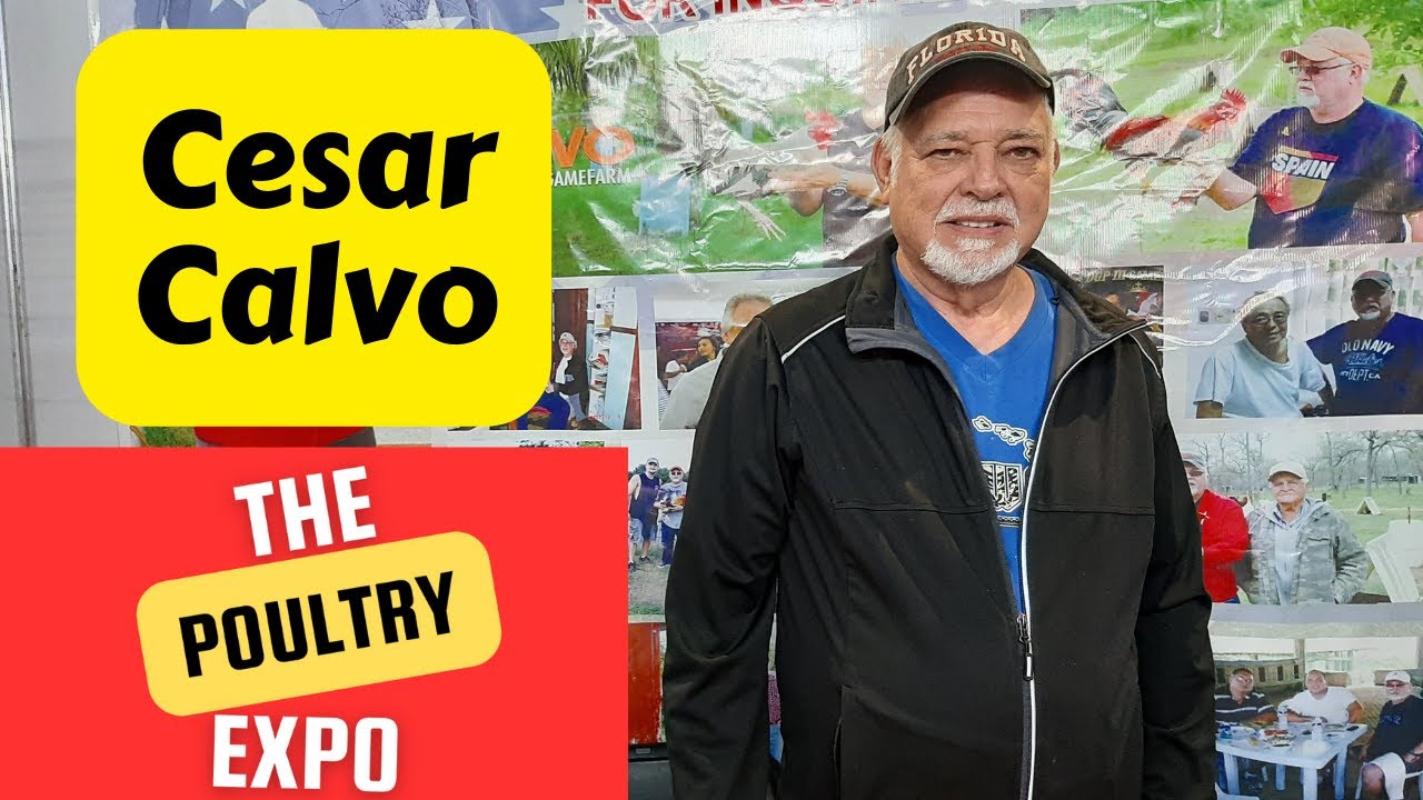 WGE 2024 | Cesar Calvo | Demile Canlas | Glen Bernardo