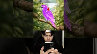 Does the parrot change color? #mindtrick #opticalillussion