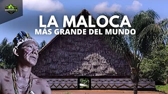 This is the largest MALOCA in the world