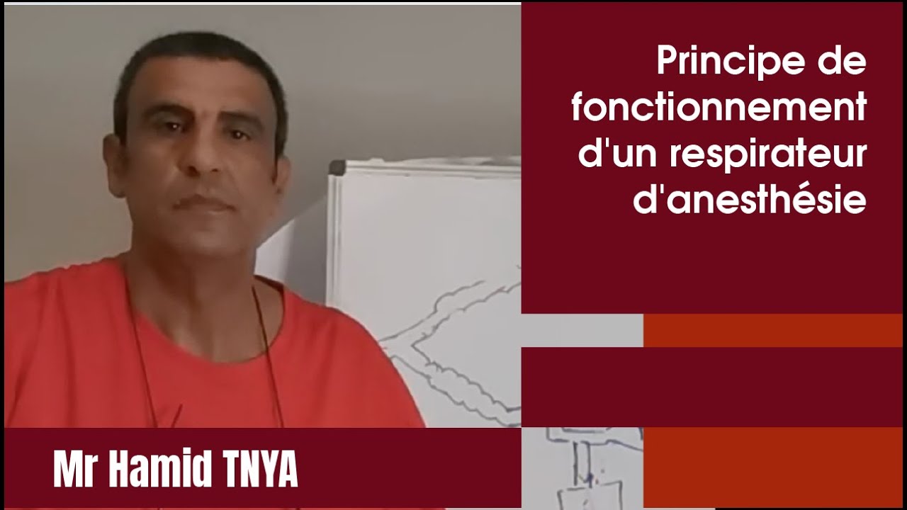 Type de soufflet de respirateur d'anesthésie