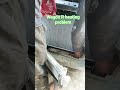 Wagon R heating problem 2015 model new radiator change #carvideo #shortvideo