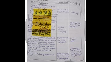 EXPLANATION SKILL/PHYSICAL SCIENCE