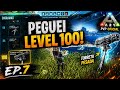 PEGUEI LEVEL 100 SOLO! 😱 + RAID E MUITO LOOT | ARK PVP OFICIAL EP.7