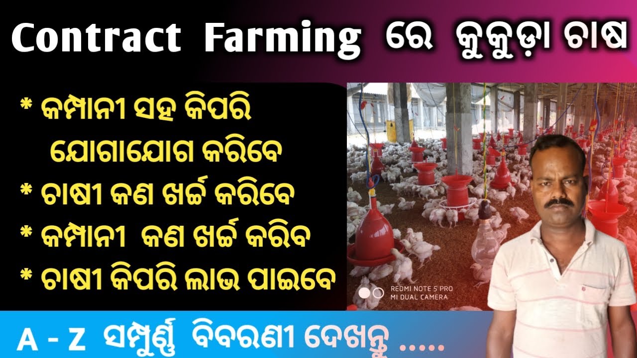 Contract farming ରେ କୁକୁଡ଼ା ଚାଷ କିପରି ଆରମ୍ଭ କରିବେ (contract polutary farming in odisha) sahoo farm.
