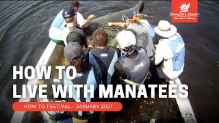 How to live with manatees: Safety tips from the Florida Fish and Wildlife Conservation Commission
