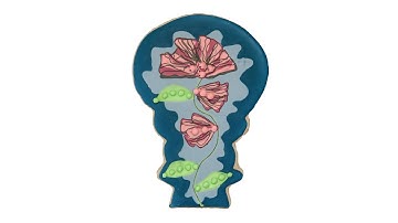 How to Decorate Floral Sugar Cookies using Wet on Wet Technique